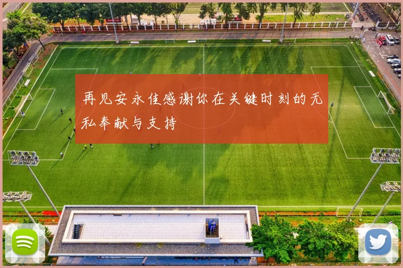 再见安永佳感谢你在关键时刻的无私奉献与支持