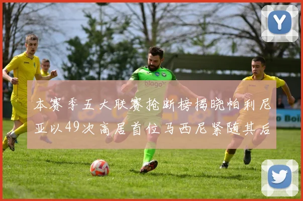 本赛季五大联赛抢断榜揭晓帕利尼亚以49次高居首位马西尼紧随其后